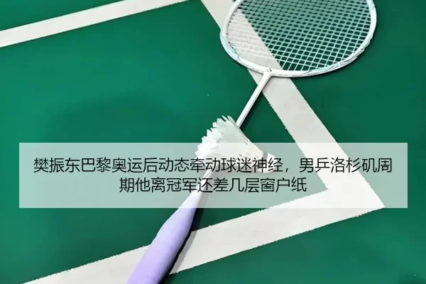 樊振东巴黎奥运后动态牵动球迷神经，男乒洛杉矶周期他离冠军还差几层窗户纸